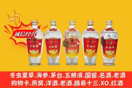 周口市扶沟回收老五粮液