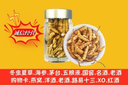 周口市扶沟回收散虫草