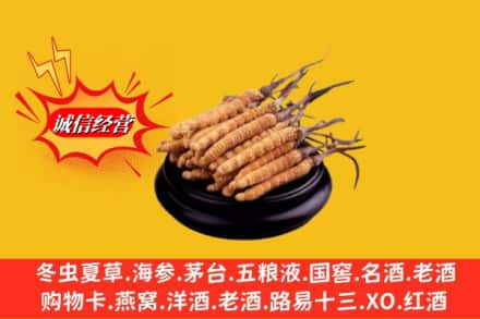 周口市扶沟求购回收虫草多少钱每克